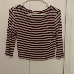 Striped Crop Top Half Sleeve